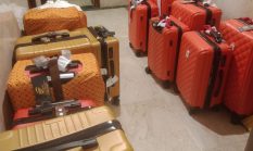 Jamaah Umroh Terlantar di Jeddah, Diduga Jadi Korban Travel Bermasalah: Negara Diminta Turun Tangan Tegas