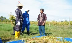 Komandan Kodaeral XIV Ajak Perkuat Kolaborasi Dukung Program Ketahanan Pangan