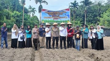 Dukung Swasembada Pangan, Polsek Bengkalis Gelar Aksi Penanaman Jagung Pipil Serentak di Desa Kuala Alam*