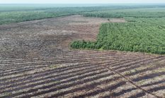 WALHI Desak Uni Eropa Masukkan Viskose ke EUDR, Soroti Jejak Deforestasi dan Pelanggaran HAM dalam Rantai Pasok Industri Fesyen Global