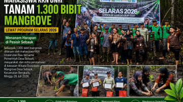 Mahasiswa KKN Universitas Riau Tanam 1.300 Bibit Mangrove di Desa Sebauk Lewat Program SELARAS 2026